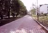 image90.jpg